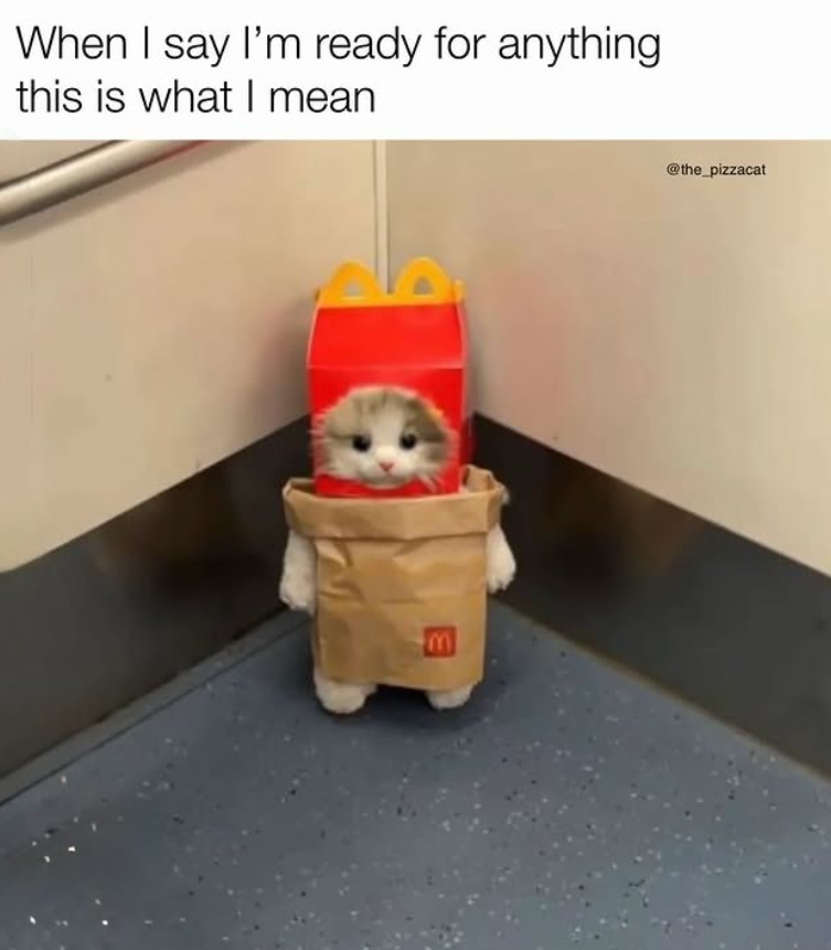 When I say I'm ready for anything this is what I mean B @the_pizzacat