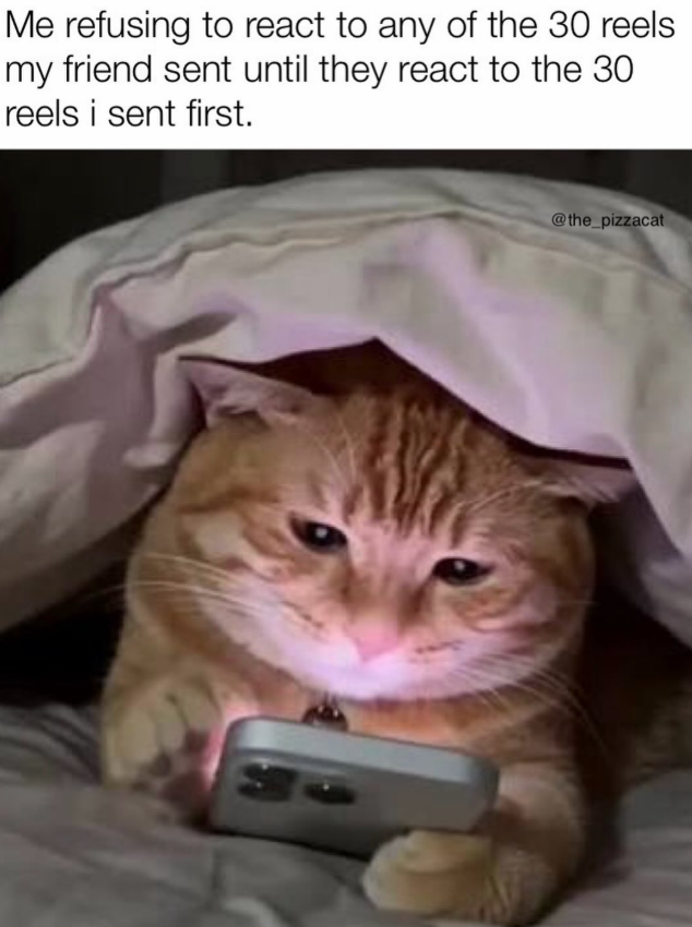 Me refusing to react to any of the 30 reels my friend sent until they react to the 30 reels i sent first. @the_pizzacat