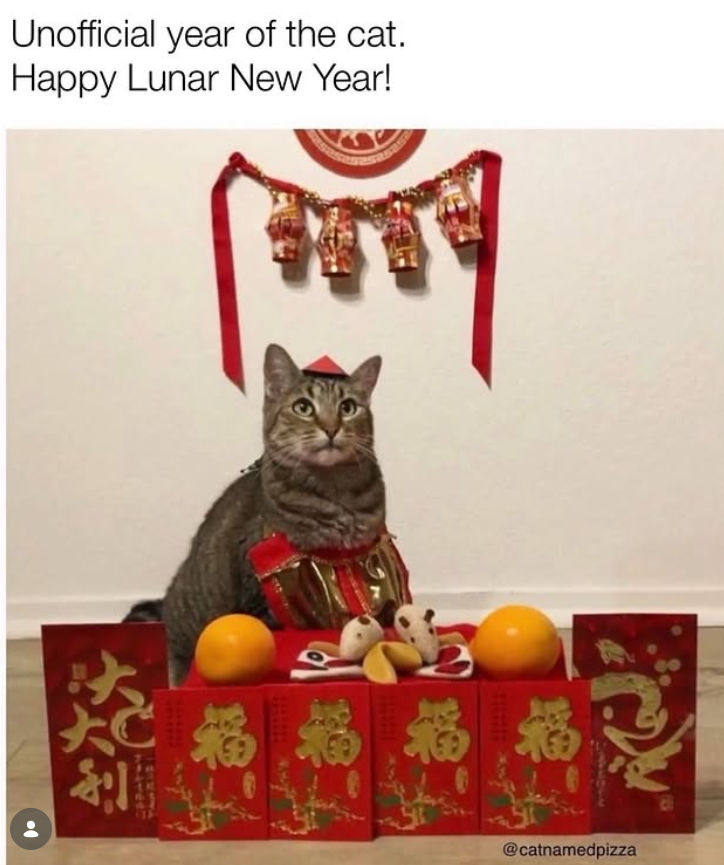 Unofficial year of the cat. Happy Lunar New Year! 福 福 @catnamedpizza