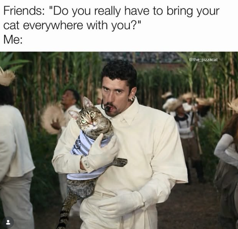 Friends: "Do you really have to bring your cat everywhere with you?" Me: @the_pizzacat