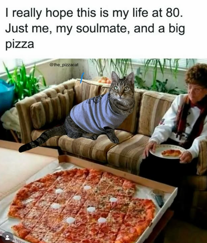 I really hope this is my life at 80. Just me, my soulmate, and a big pizza 197 @the_pizzacat