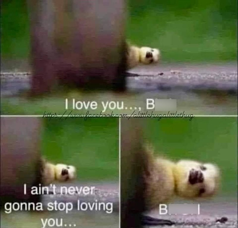 I love you..., B I ain't never gonna stop loving you... B