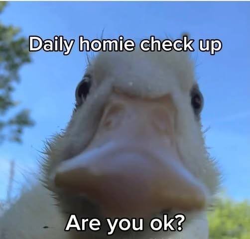 Daily homie check up Are you ok?