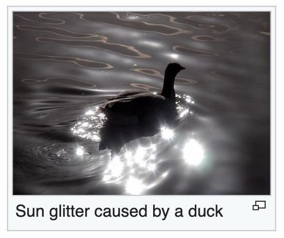 Sun glitter caused by a duck