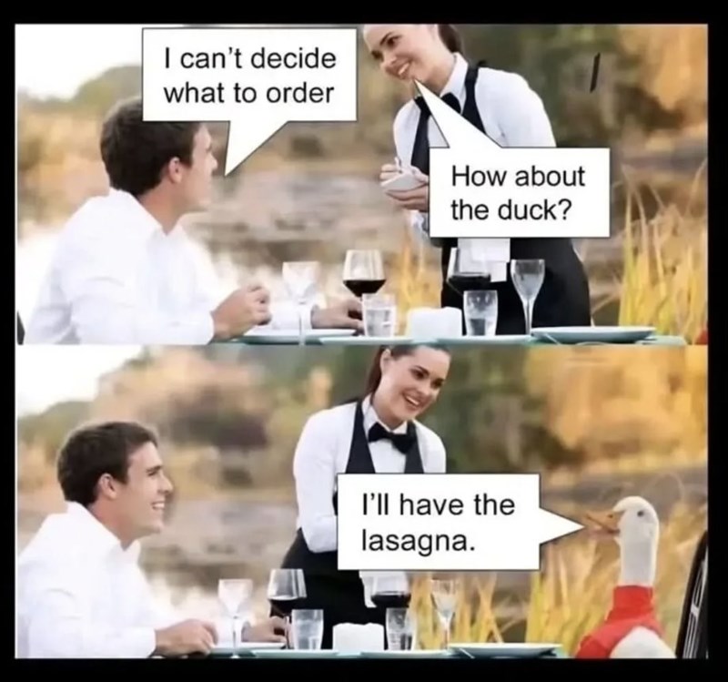 I can't decide what to order How about the duck? I'll have the lasagna.