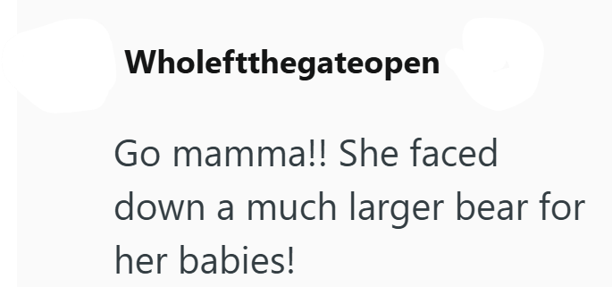 Wholeftthegateopen Go mamma!! She faced down a much larger bear for her babies!