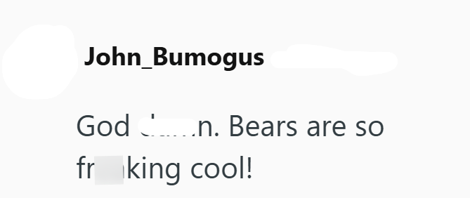 John Bumogus God .n. Bears are so fr king cool!