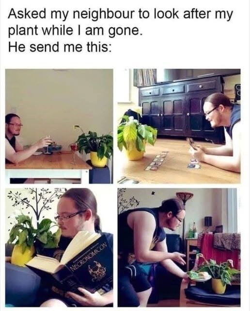 Asked my neighbour to look after my plant while I am gone. He send me this: NECRONOMICON