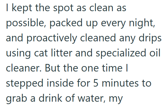 I kept the spot as clean as possible, packed up every night, and proactively cleaned any drips using cat litter and specialized oil cleaner. But the one time I stepped inside for 5 minutes to grab a drink of water, my