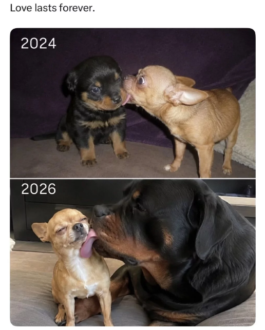 Love lasts forever. 2024 2026