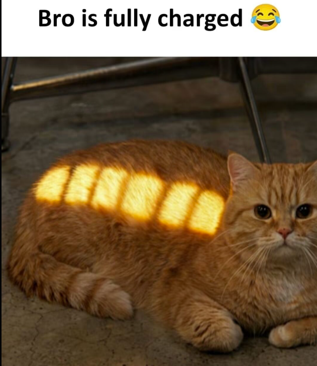 Bro is fully charged 1111