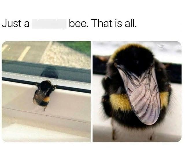 Just a bee. That is all.