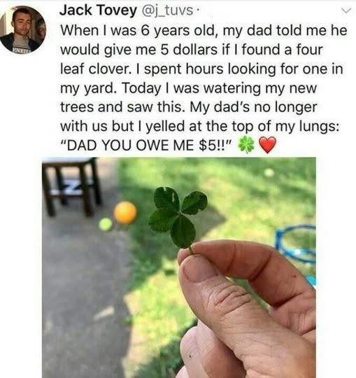 Jack Tovey @j_tuvs. When I was 6 years old, my dad told me he would give me 5 dollars if I found a four leaf clover. I spent hours looking for one in my yard. Today I was watering my new trees and saw this. My dad's no longer with us but I yelled at the top of my lungs: "DAD YOU OWE ME $5!!"