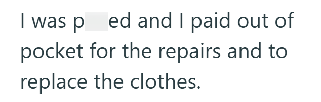 I was ped and I paid out of pocket for the repairs and to replace the clothes.