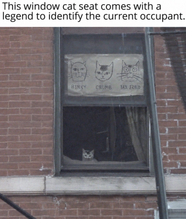 This window cat seat comes with a legend to identify the current occupant. BINKY CRUMB TAX FRAUD