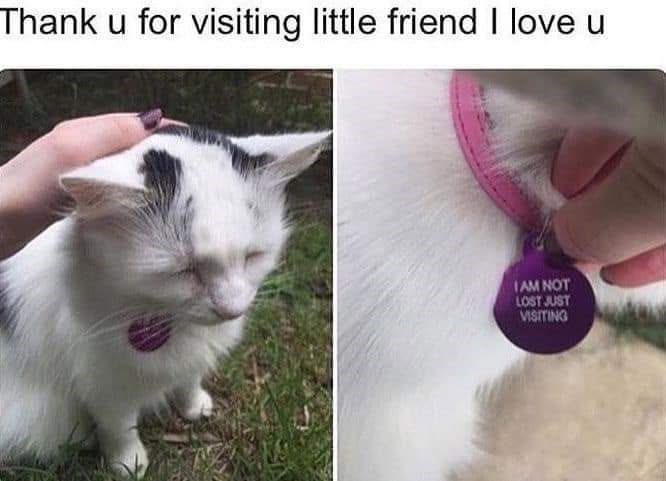Thank u for visiting little friend I love u I AM NOT LOST JUST VISITING