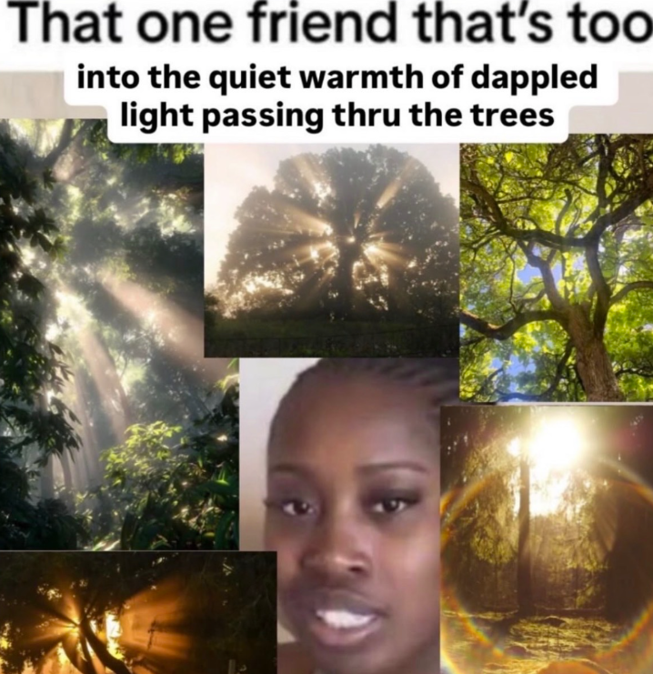 That one friend that's too into the quiet warmth of dappled light passing thru the trees