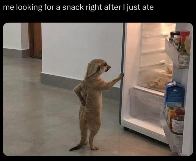 me looking for a snack right after I just ate