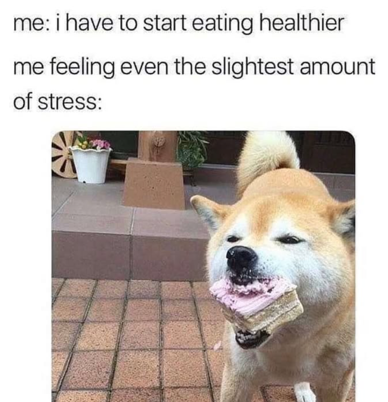 Cheezburger Image 10661245696