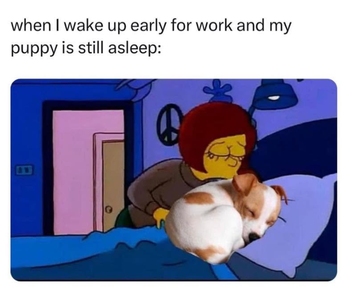 when I wake up early for work and my puppy is still asleep: の