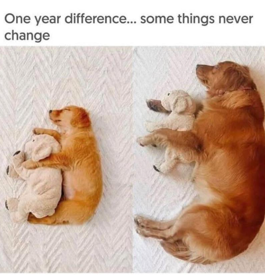 One year difference... some things never change