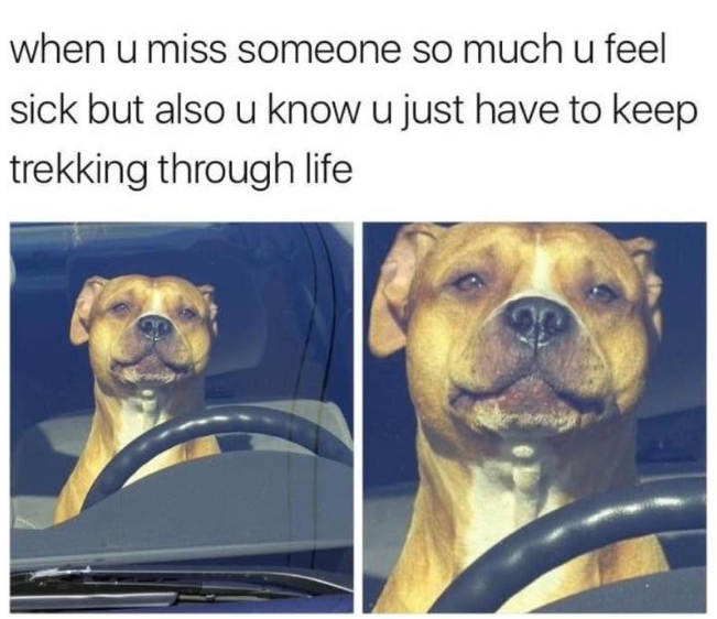 when u miss someone so much u feel sick but also u know u just have to keep trekking through life