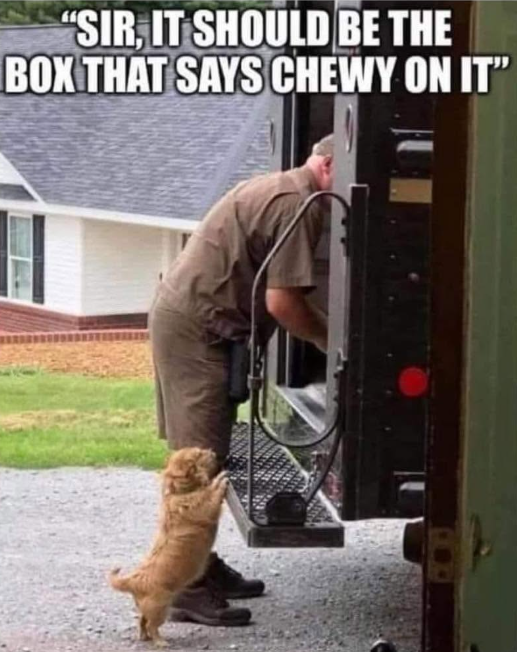 "SIR, IT SHOULD BE THE BOX THAT SAYS CHEWY ON IT"