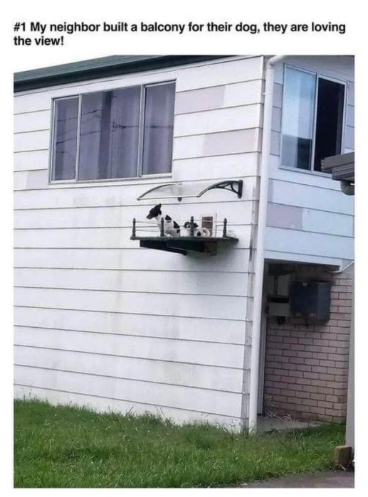 #1 My neighbor built a balcony for their dog, they are loving the view!