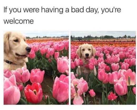 If you were having a bad day, you're welcome