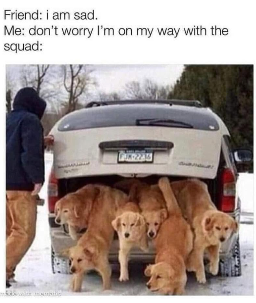 Friend: i am sad. Me: don't worry I'm on my way with the squad: made with mematic JK-2236