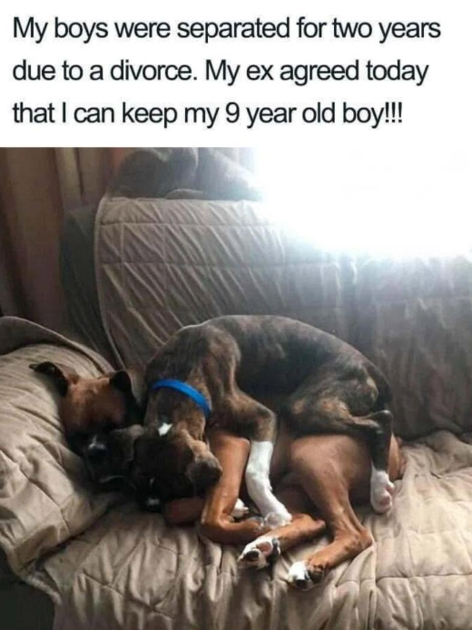 My boys were separated for two years due to a divorce. My ex agreed today that I can keep my 9 year old boy!!!