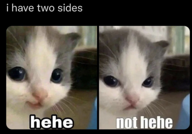 i have two sides hehe not hehe
