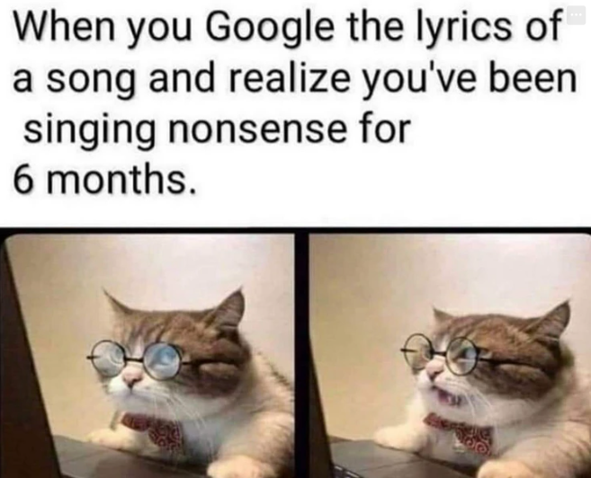 When you Google the lyrics of a song and realize you've been singing nonsense for 6 months.