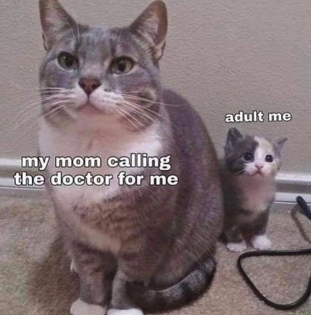 my mom calling the doctor for me adult me