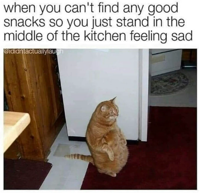when you can't find any good snacks so you just stand in the middle of the kitchen feeling sad @ididntactuallylaugh