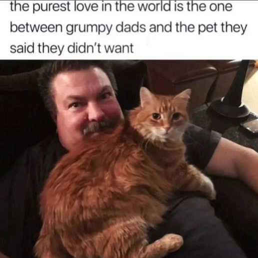 the purest love in the world is the one between grumpy dads and the pet they said they didn't want