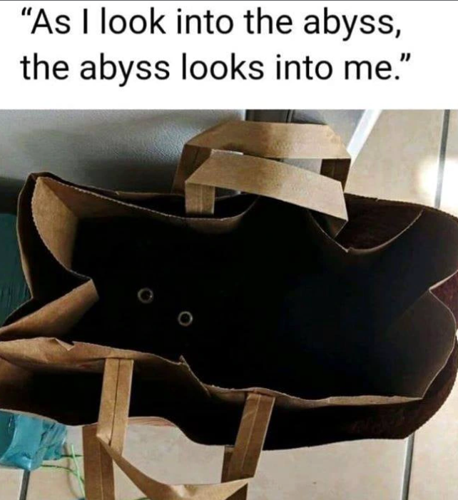 "As I look into the abyss, the abyss looks into me."
