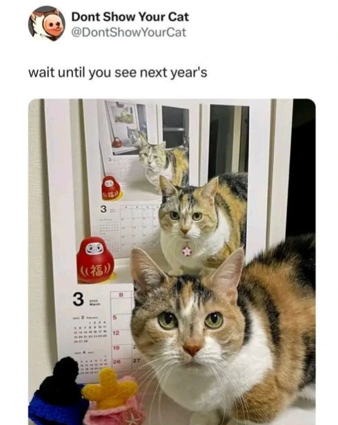 Dont Show Your Cat @DontShowYourCat wait until you see next year's B ♡ 3 ((福)) 12 19 26
