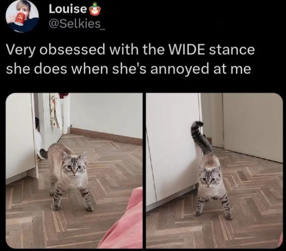 Louise @Selkies_ Very obsessed with the WIDE stance she does when she's annoyed at me