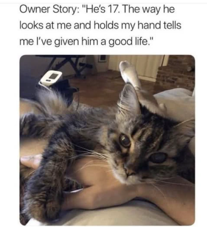 Owner Story: "He's 17. The way he looks at me and holds my hand tells me I've given him a good life."