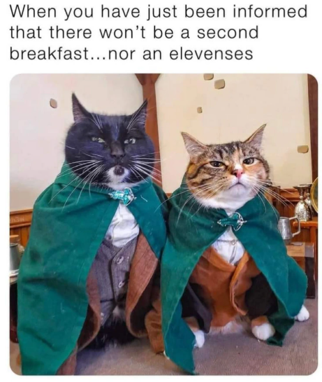 When you have just been informed that there won't be a second breakfast...nor an elevenses
