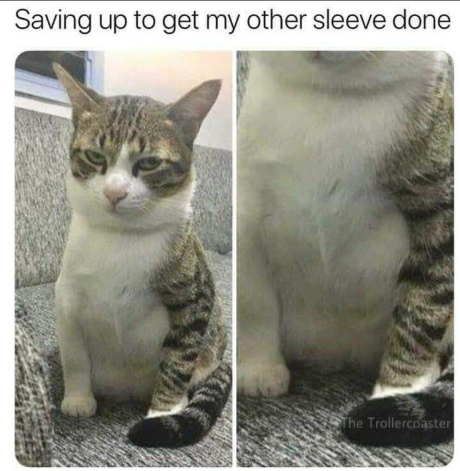 Saving up to get my other sleeve done The Trollercoaster