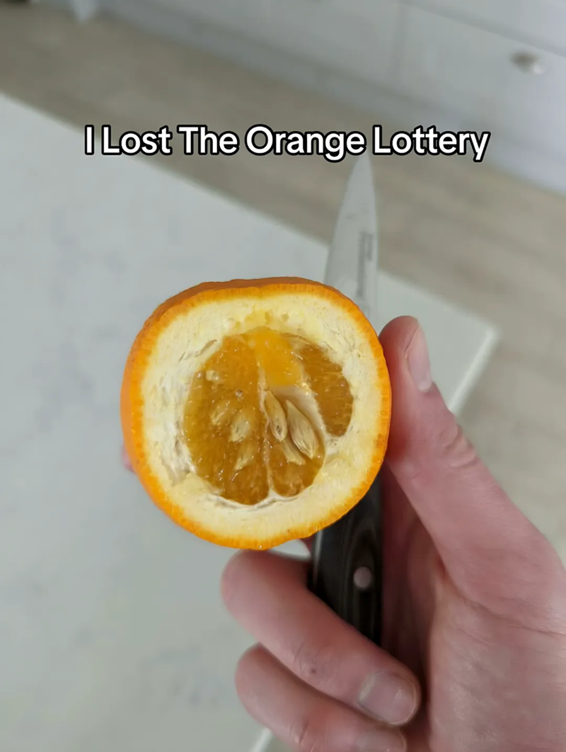 I Lost The Orange Lottery
