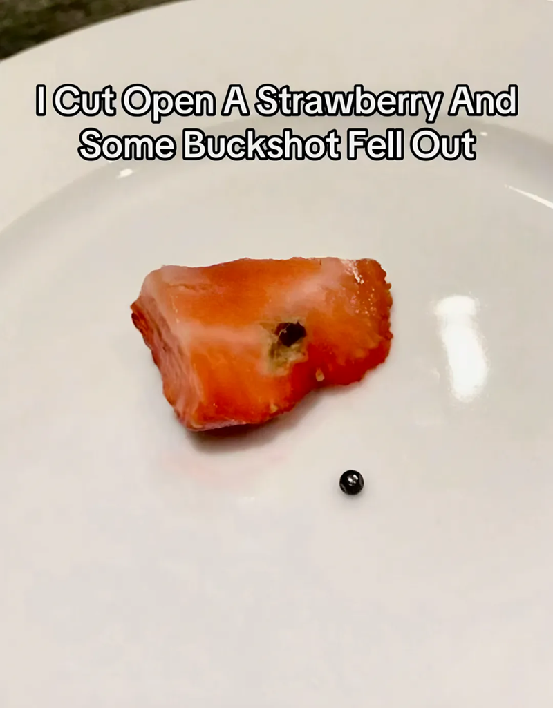 I Cut Open A Strawberry And Some Buckshot Fell Out