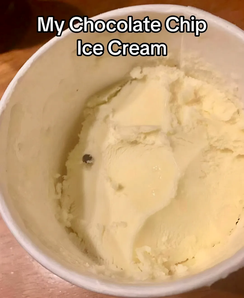 My Chocolate Chip Ice Cream