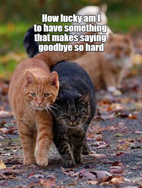 How lucky am to have something that makes saying goodbye so hard