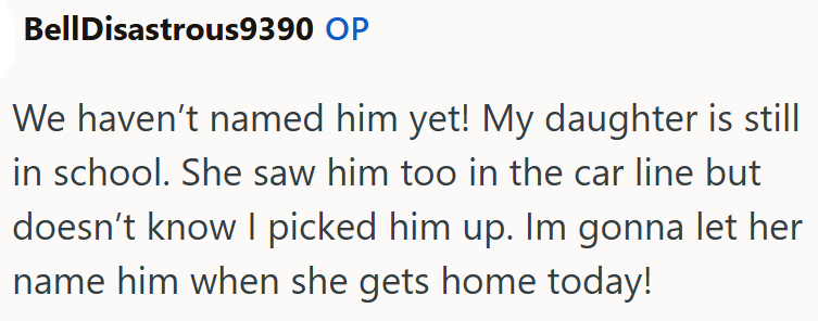 Bell Disastrous9390 OP We haven't named him yet! My daughter is still in school. She saw him too in the car line but doesn't know I picked him up. Im gonna let her name him when she gets home today!