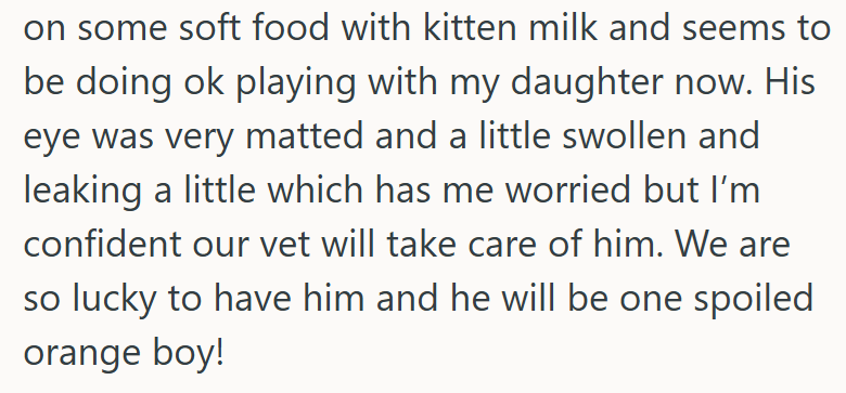 on some soft food with kitten milk and seems to be doing ok playing with my daughter now. His eye was very matted and a little swollen and leaking a little which has me worried but I'm confident our vet will take care of him. We are so lucky to have him and he will be one spoiled orange boy!