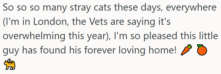 So so so many stray cats these days, everywhere (I'm in London, the Vets are saying it's overwhelming this year), I'm so pleased this little guy has found his forever loving home! O ל