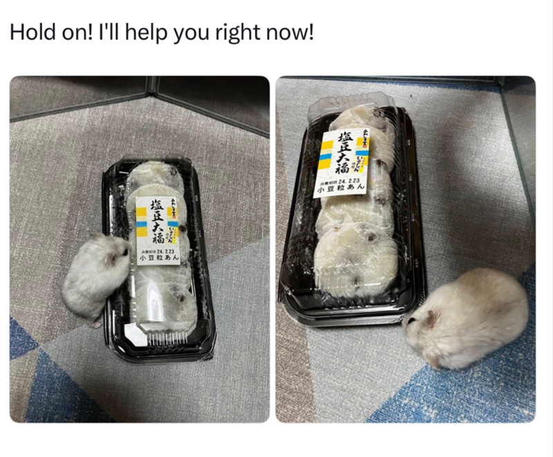 Hold on! I'll help you right now! 塩豆大福 消费期:24.2.23 小豆粒あん 塩豆大福 30號 24.2.23 小豆粒あん